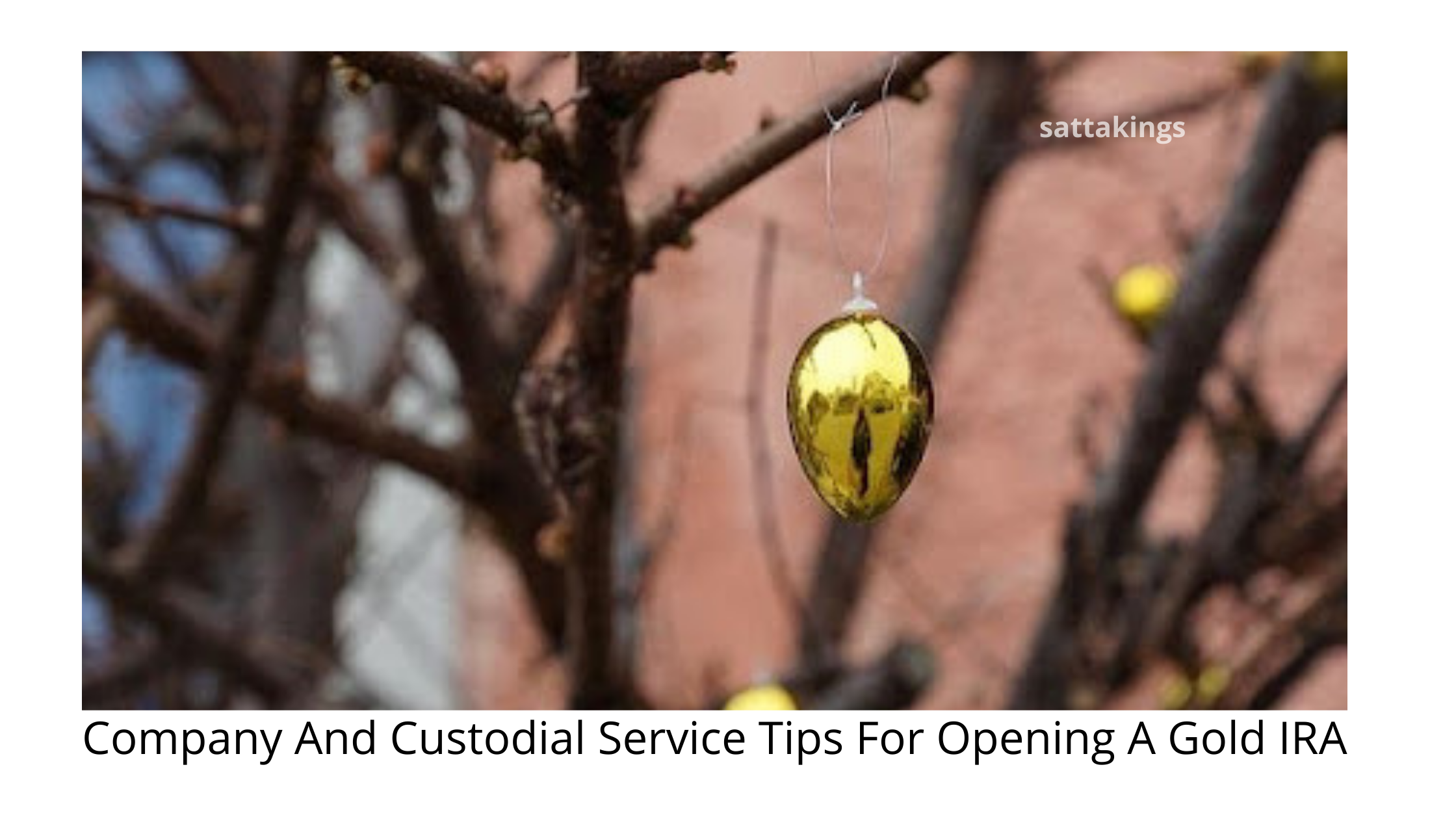 Company And Custodial Service Tips For Opening A Gold IRA 