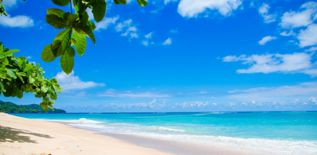 Why should you visit Punta Cana once before you die
