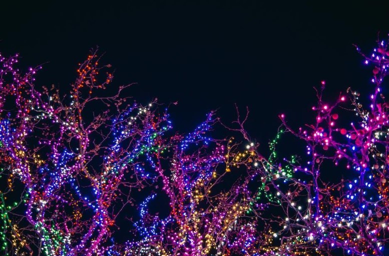 A Guide to the Best Christmas Tree Light Show of 2023