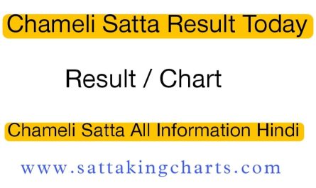 Chameli Satta | Chameli Satta Result