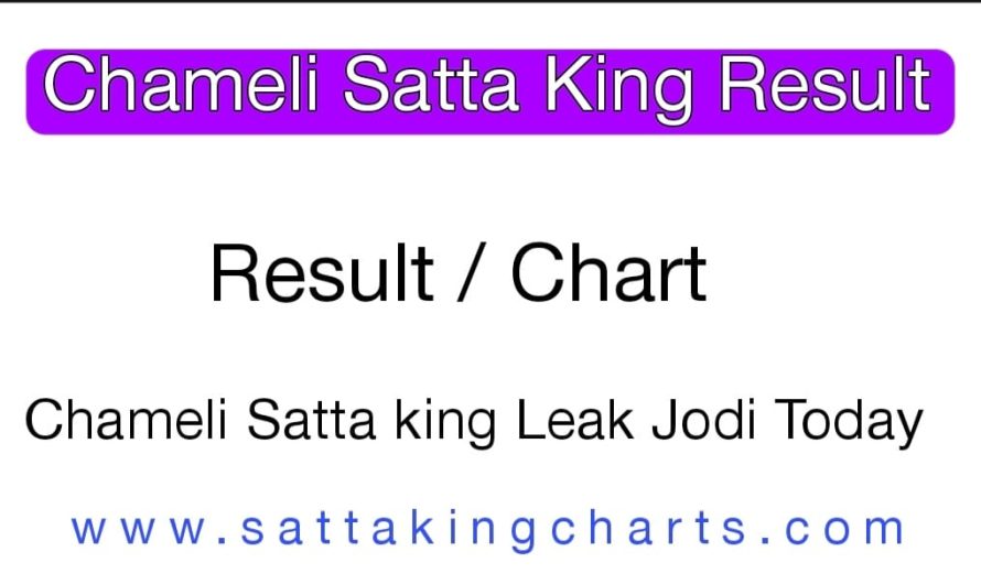 Chameli Satta king